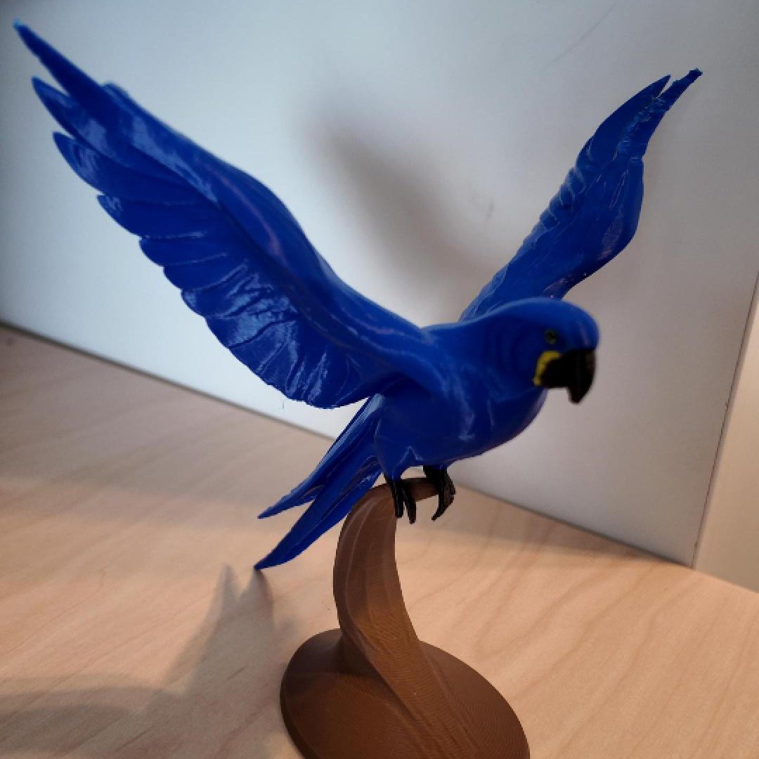 Timelapse de una guacamaya azul impresa en el Snapmaker U1